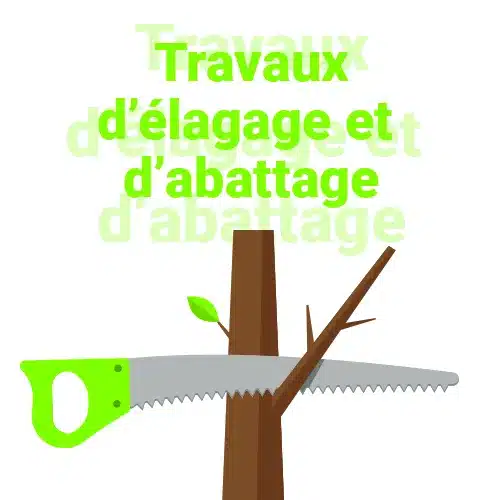 Lire la suite de l'actualité Travaux d&rsquo;élagage et d&rsquo;abattage